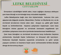 ÇAM KESE BÖCEĞİ VE HAŞERELERLE MÜCADELE BELEDİYE SAĞLIK EKİPLERİMİZ TARAFINDAN BAŞLATILDI