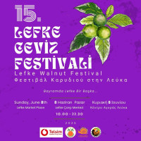 LEFKE CEVİZ FESTİVALİ